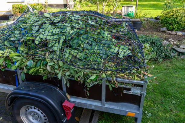 Best Same-Day Junk Removal Services  in Rockledge, FL